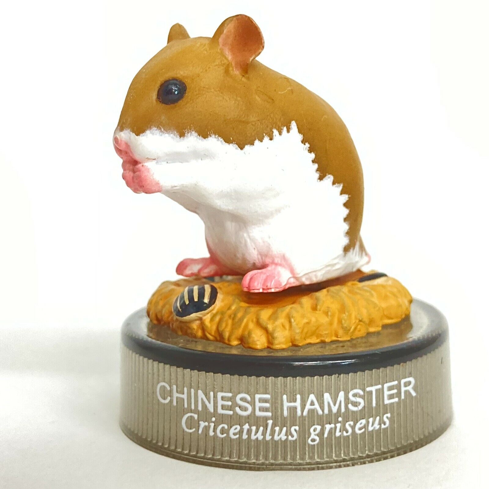 Kaiyodo Hamster's Lunch Bottle Cap Mini Figure #11 Chinese Hamster Normal Japan