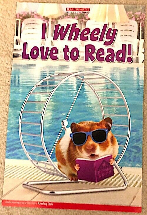 2-sided Poster: Hamster Wheel Sunglasses Book Swimming Pool / Rabbit Bunny Beach